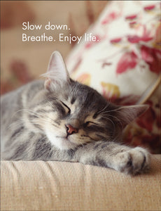 Wise Cats Quotation Cards