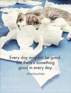 Wise Cats Quotation Cards