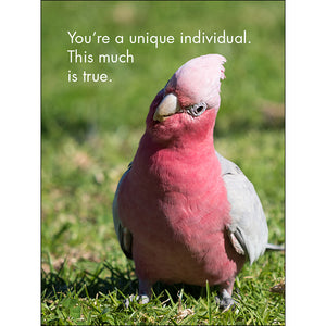 You're One of a Kind Affirmation Cards
