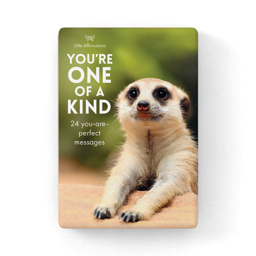 You're One of a Kind Affirmation Cards