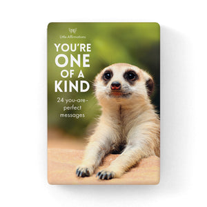 You're One of a Kind Affirmation Cards