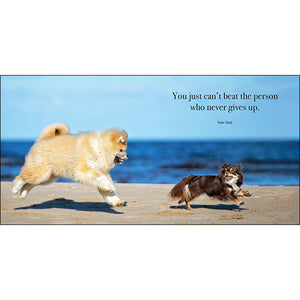 Flying Dogs: A book of motivation