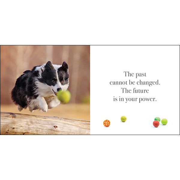 Flying Dogs: A book of motivation