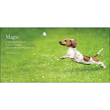 Load image into Gallery viewer, Flying Dogs: A book of motivation