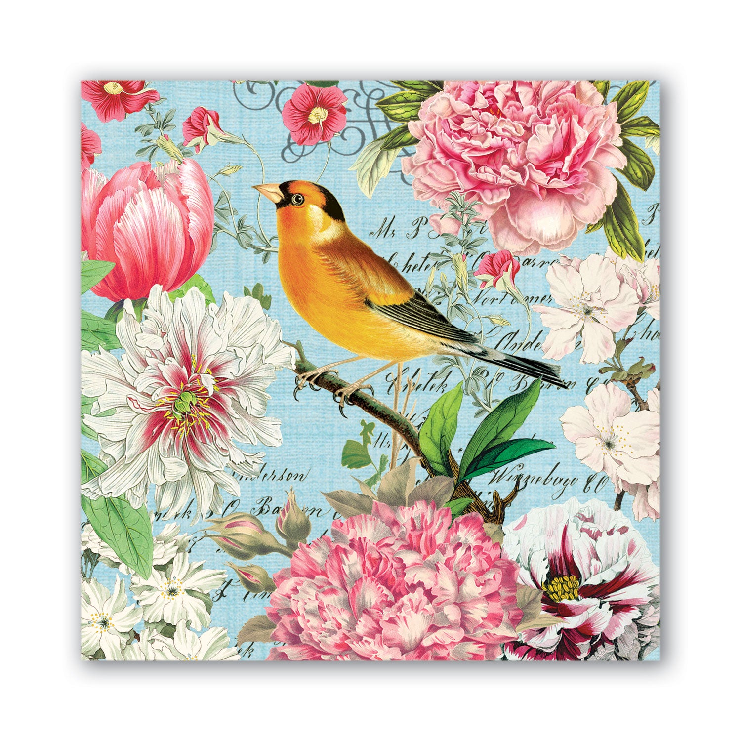 Assorted Cocktail Napkins