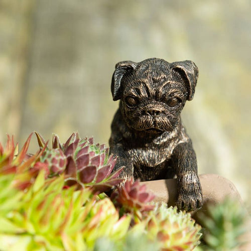 Pot Buddies Antique Bronze Pug