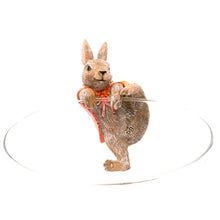 Load image into Gallery viewer, Pot Buddies Beatrix Potter Flopsy Bunny