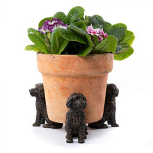 Load image into Gallery viewer, Potty Feet Antique Bronze Cockapoo