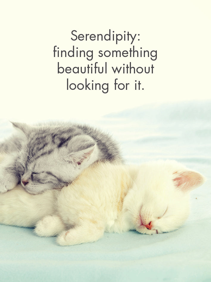 Kitten Tales Quotation Cards