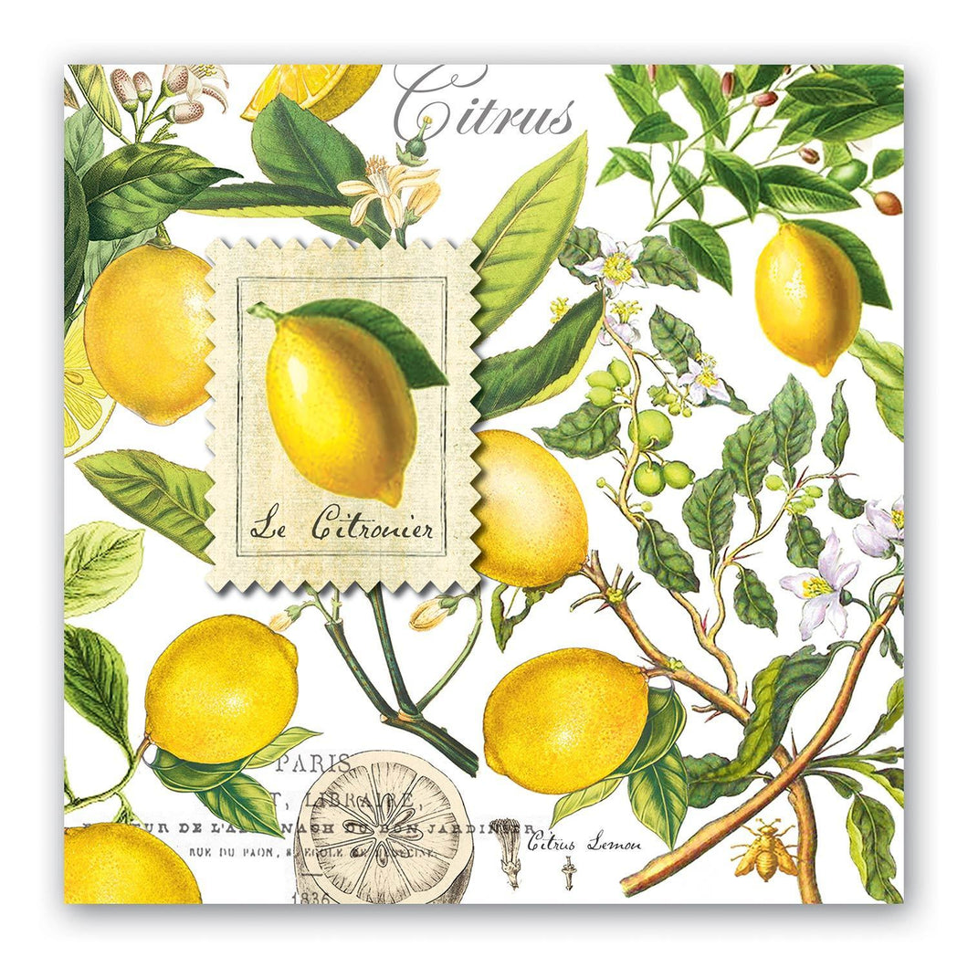 Assorted Luncheon Napkins