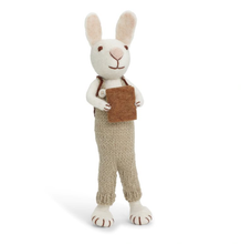 Load image into Gallery viewer, White Bunny with Pants &amp; Book