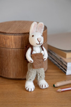 Load image into Gallery viewer, White Bunny with Pants &amp; Book