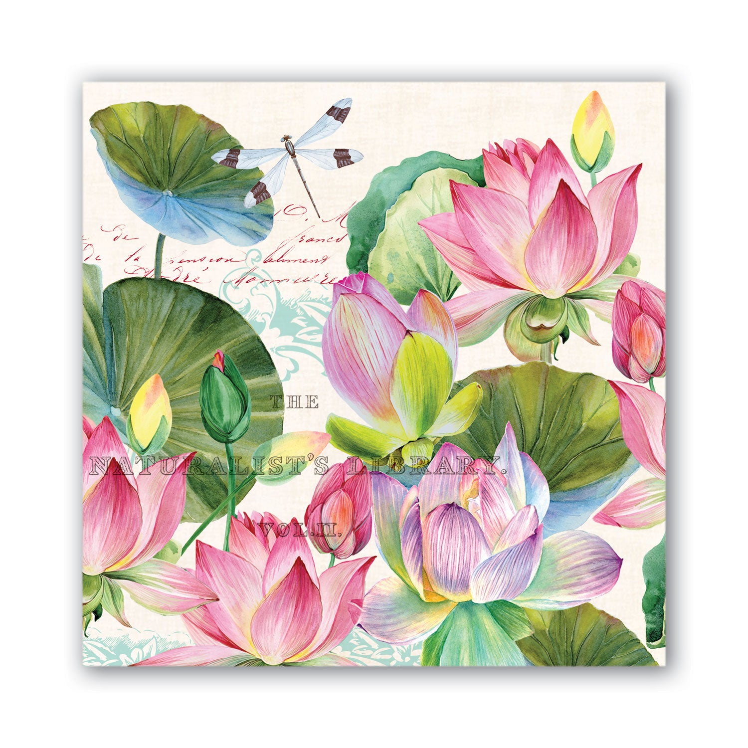 Assorted Cocktail Napkins