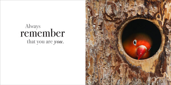 You're One Of A Kind