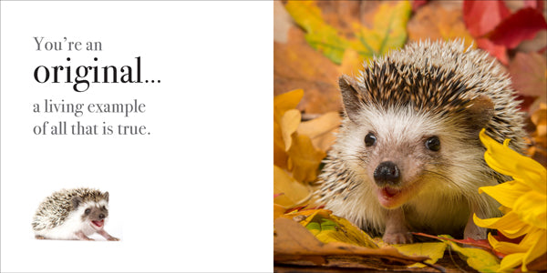 You're One Of A Kind