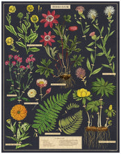 Load image into Gallery viewer, Herbarium 1000 Piece Vintage Puzzle