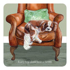Assorted 'Little Dog Laughed' Drink Coasters