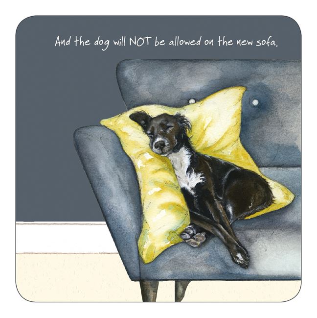 Assorted 'Little Dog Laughed' Drink Coasters