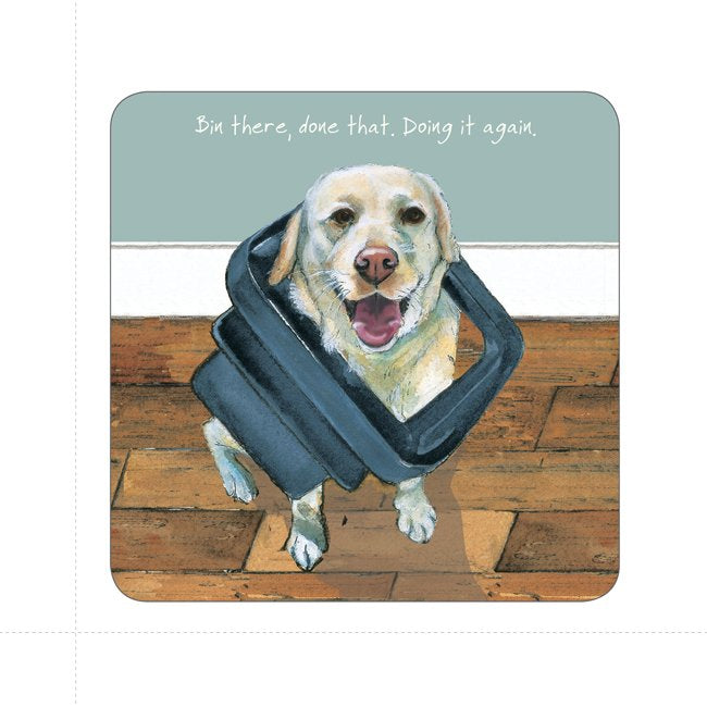Assorted 'Little Dog Laughed' Drink Coasters
