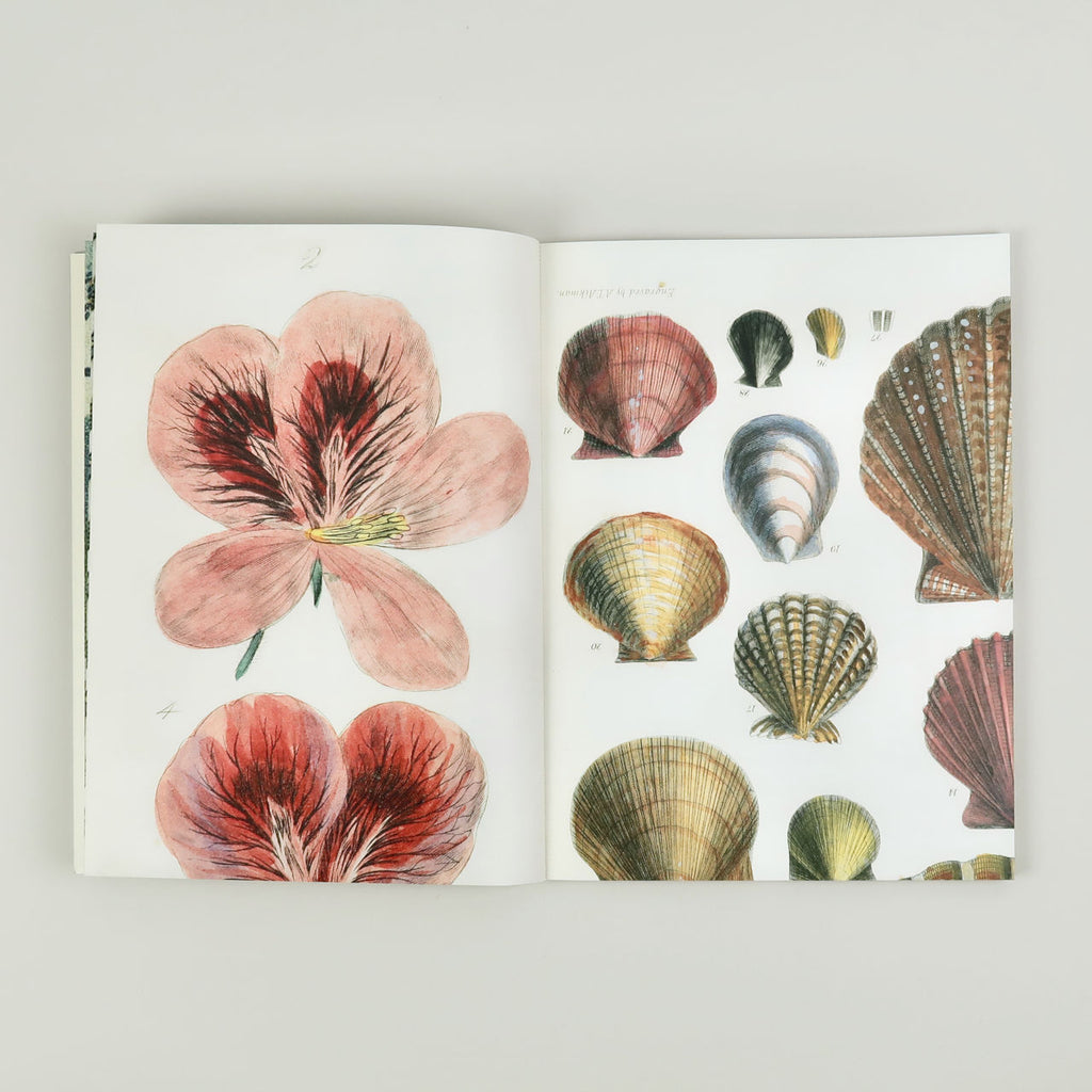 John Derian Wrap & Gift Tags