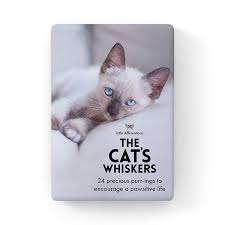 The Cats Whiskers Quotation Cards