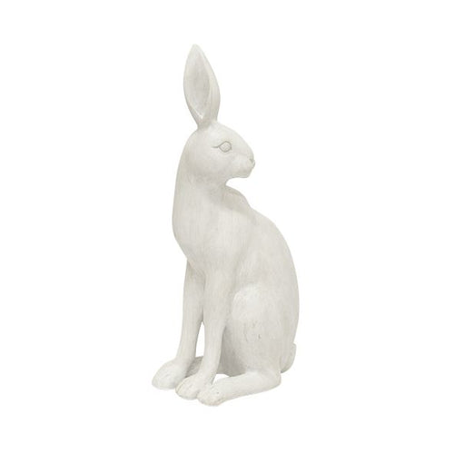 Harold the Hare Turning White