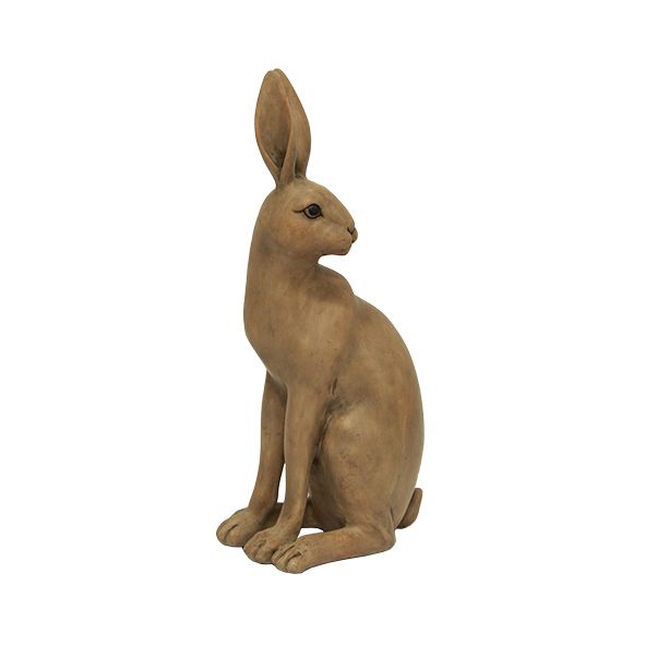 Harold the Hare Turning Brown