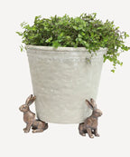 Hare Pot Stands Set 3