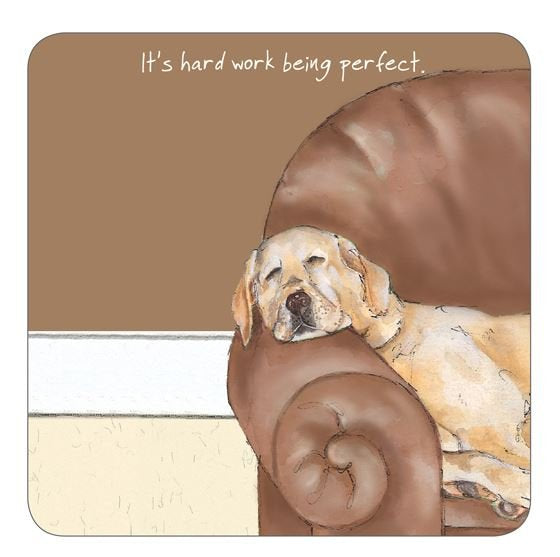 Assorted 'Little Dog Laughed' Drink Coasters