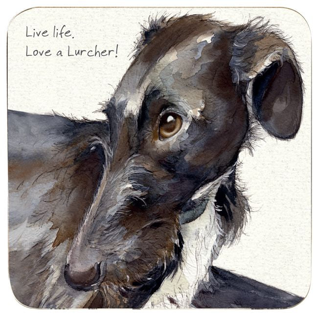 Assorted 'Little Dog Laughed' Drink Coasters
