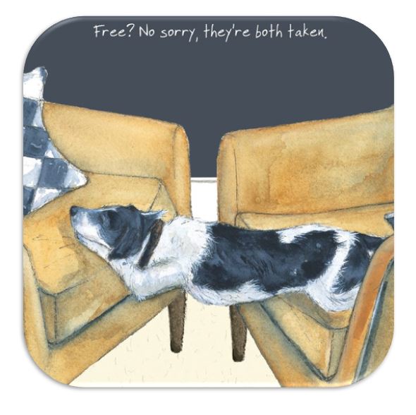 Assorted 'Little Dog Laughed' Drink Coasters
