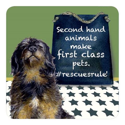 Assorted 'Little Dog Laughed' Drink Coasters