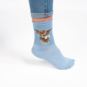 Wrendale Socks Daisy Cow