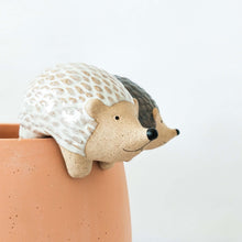 Load image into Gallery viewer, Hedgehog Pot Hanger White or Grey 8cm