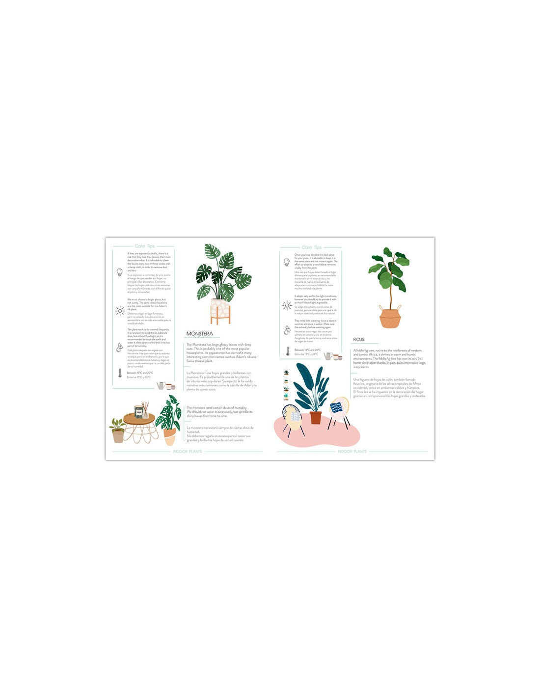Urban Jungle Plant Care Journal