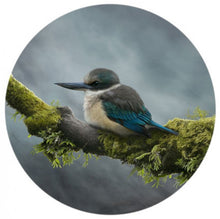 Load image into Gallery viewer, Vantage Point Black Box Frame